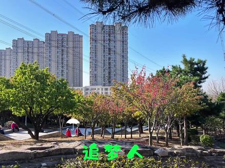 小雨伞带动歌词#视频上怎么添加文字 #滚动字幕制作教程 #文字视频制作教程 #会跳动的文字 #视频剪辑教程
