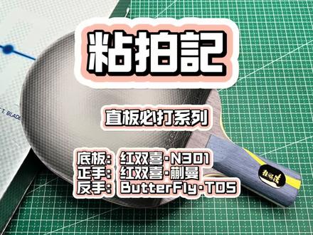 直板必打-红双喜N301 #直板横打 #N301 #王皓 #乒乓球 #乒乓球拍