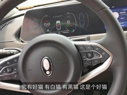朗仁i80pro匹配2021款长城欧拉好猫#配钥匙 #一键启动 #匹配汽车钥匙 #车钥匙 #长城汽车