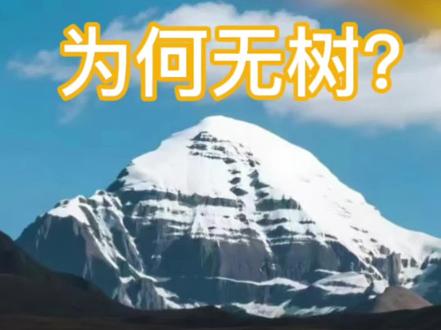 青藏铁路沿途为什么没有树,听听列车员讲解原因。#坐上火车去拉萨 #西藏拉萨旅游攻略 #最美的风景在路上 #桃花节林芝