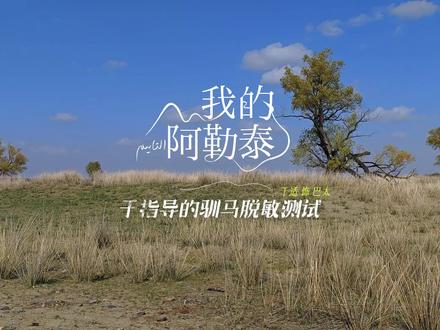 于指导的🐎脱敏训练 @于适 #于适 #我的阿勒泰 #巴太