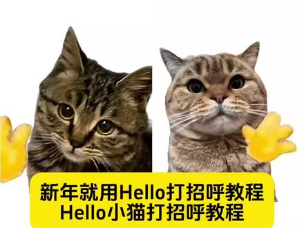这也太太太可爱了叭~ 新年就用Hello打招呼教程来了 Hello小猫打招呼教程 hello猫原视频 #剪映 #新年就用hello打招呼 #hello挥手小猫 #hello猫咪 #小猫hello怎么做 哈基米挥手视频 hello挥手动作的动画 hello小猫动态图 hello小猫表情包 hello小狗表情包 hello猫模板怎么用 说哈喽的猫原视频 小猫hello制作 hello小猫打招呼模板教程 hello打招呼视频 小猫打招呼 小狗打招呼 hello打招呼萌宠模板
