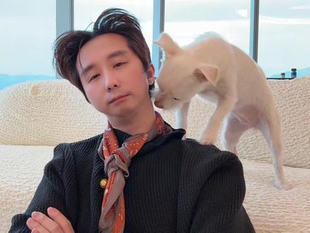 今天又被豆包得逞了 #被豆包气死 #狗狗日常