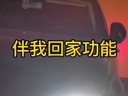 这车灯怎么关不掉,伴我回家功能了解一下!#抖音汽车 #爱车一族 #每天一个用车知识