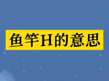 鱼竿上的H什么意思?H和鱼竿的调性什么关系?今天看完这个你就明白了。#鱼竿 #鱼竿调性 #鱼竿硬度 #涨知识了