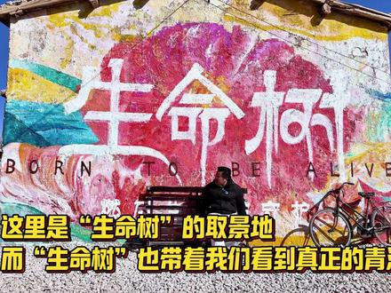 生命树带我们看青海:德令哈取景地实拍来啦 #生命树 #时常被生命树感动 #跟着生命树游德令哈 #哈哈看世界 #德令哈 @德令哈文旅