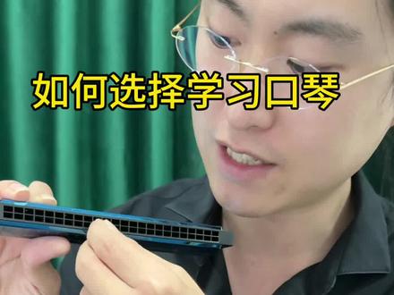 新手就选24孔复音口琴。#口琴演奏 #口琴教学