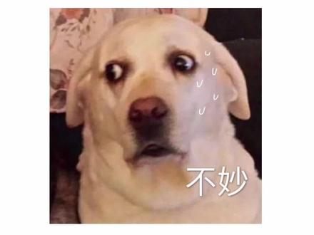 ABO里的E到底是种怎样的存在???#ABO