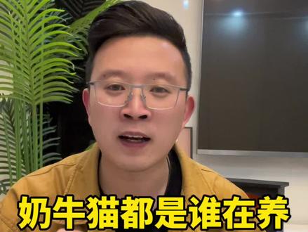 千万别被奶牛猫可爱的外表欺骗了#奶牛猫 #奶牛猫就是神经猫 #奶牛猫之歌 #双十一红包 #创作灵感