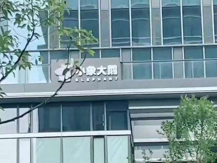 PDD参观小象新总部,惊了莫非这一整栋楼都是吗 #pdd