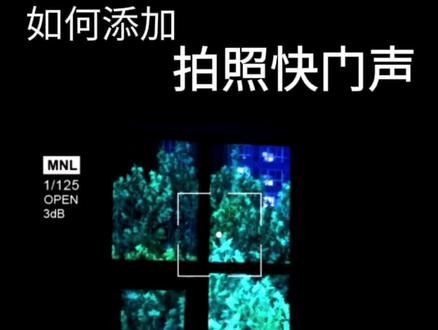 如何给视频里添加拍照快门声?10秒教会你#快门声 #音效