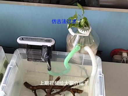 仿古法过滤器制作教程#自制实用工具 #新手养鱼 #开缸 #鱼缸过滤桶制作 #水族