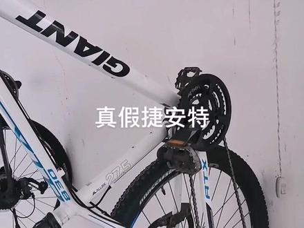 免费鉴定真假捷安特