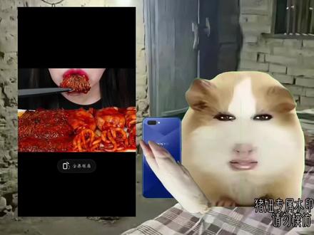 #猪妞小剧场#猪妞#禁止盗视频 😊