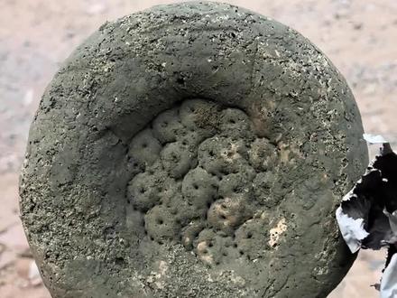 女子收到弟媳两个月前寄的馕。一看发霉了,还染上“青铜绿”。“已经送给网友做酱啦!”#惊不惊喜意不意外 #馕 #发霉了 (来源@霖子.中恩特膳 )