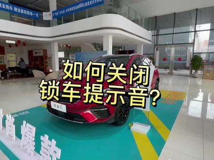 #好车要吉利 #我们在一起这很吉利 #吉利中国年 #销售的日常 #定州 @好车情报局