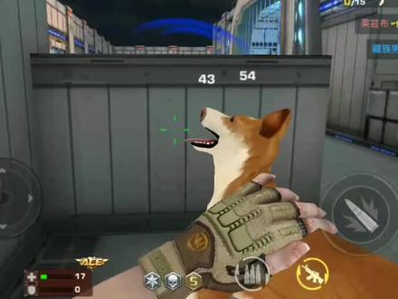 正义枪战之枪王对决。 反恐部队