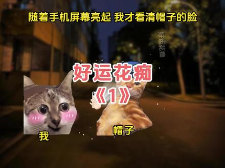 当我找猫时被帽子按倒在地 #猫meme #猫meme故事
