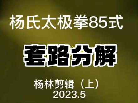 85式太极拳分解教学(上),赵幼斌老师演练。