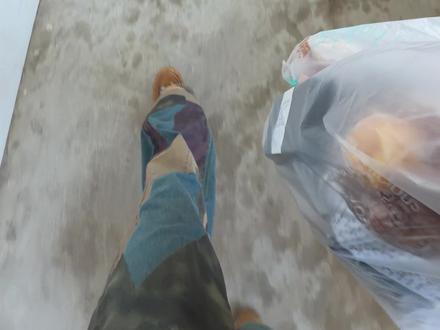 我的输出从不局限于视频内容我的教育对象也不只是我的学生,更是成千上万未来将撑起教育事业的大学生们。我本可循着安稳的教学轨迹,只守着三尺讲台做好日常授课,便算尽到了为师的本分。可我偏想以自己的方式,把教育的温度传递到更远的地方。我从不敢自诩伟大,谈不上什么燃烧自己照亮他人,不过是在做一件自己打心底里热爱的事。从来没有哪种模样才是老师的“标准答案”,每一位在岗位上默默耕耘、倾尽心力的教育者,都同样值得被敬重。
最初拿起镜头、写下文字,也只是想记录下校园生活里的细碎日常,留住与孩子们相伴的温暖点滴,从未奢望过会收获这般多的关注。这份突如其来的热忱与偏爱,于我而言是惊喜,却也带着些许沉甸甸的无措,我怕自己能力有限,接不住这许多的期许。
但还是要衷心感谢每一份关注与喜爱。往后的日子,我会继续用自己的方式输出微光般的能量,始终守着这份热爱,陪着孩子们走过山野间的朝朝暮暮,直到他们带着梦想,奔向属于自己的广阔前程。