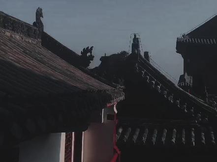 为什么有情有义之人,最后都修了无情道!