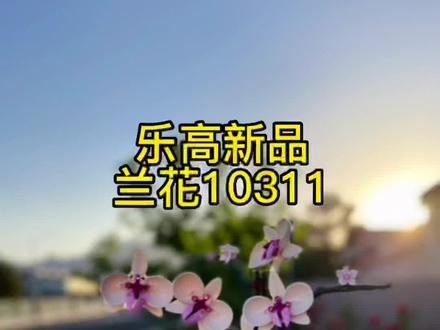 乐高五月新品兰花10311颜值爆表。#乐高 #乐高积木 #乐高新品 #乐高兰花 #美国生活 #五月天 #乐高搭建