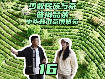 我在世界茶源普洱的茶博苑,我听到的故事讲给你听~ #有一种叫云南的生活#头号攻略玩家 #我的旅行日记 #普洱 #淡季来云南人少景美