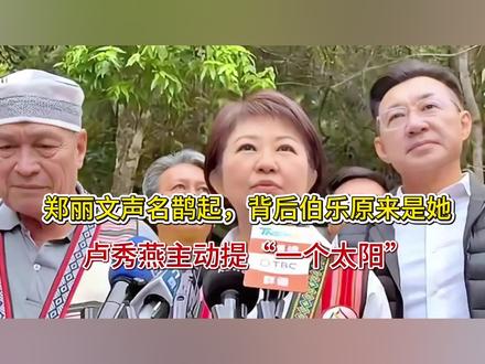 郑丽文声名鹊起,背后伯乐原来是她,卢秀燕主动提“一个太阳”