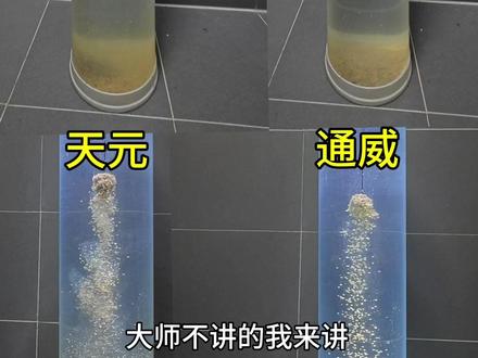 4款泡泡球详细对比,为你解开泡泡球的秘密 #抽鲢鳙 #冬季钓鲢鳙#黑坑鲢鳙 #鱼栖林 #鱼栖林极轻鲢鳙