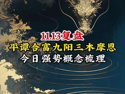 11.13复盘,我已检查符合规范求过审#复盘