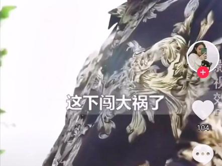 豪门顶门赘婿,叶辰萧初然,