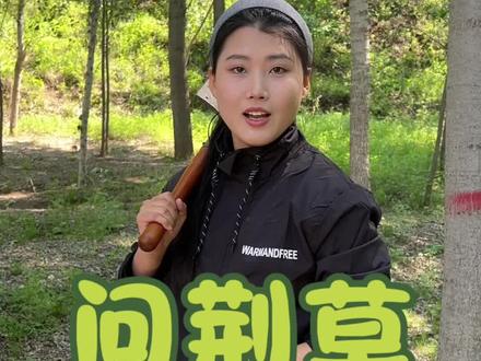 淘金 问荆草#淘金 @金门亿哥