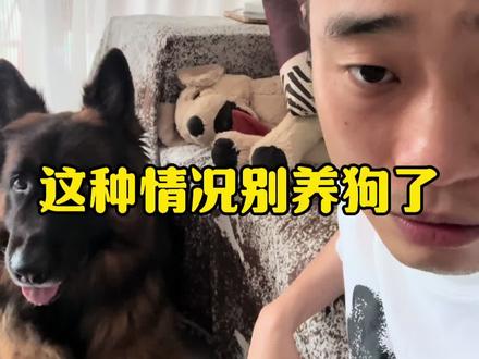 这种情况别养狗 #养狗小知识 #我和我的狗 #科学养宠