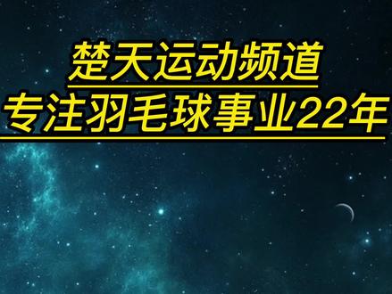 性价比高的中高端控制拍是哪一款?#羽毛球 #打羽毛球🏸 #羽毛球拍 #弓箭11