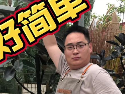 橡皮树怎么养 #橡皮树 #沧州#养花#绿植#盆栽