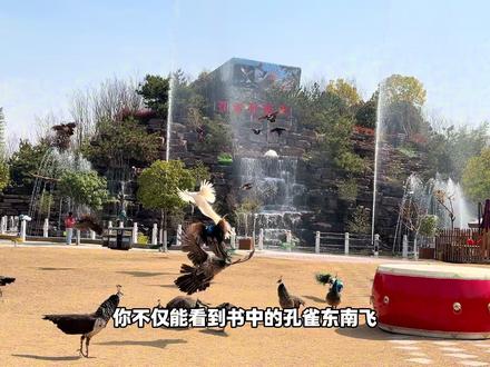 一家三口人均不到二十,这个体验还有谁!#汉邦欢乐世界 #西安孔雀东南飞 #西安孔雀放飞