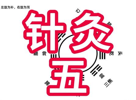 伤寒论入门(76)针灸5 #自学中医 #自学中医救自己
