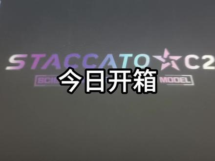 #电手 #玩具 #DX2011C2 #DX2011 #dx2011