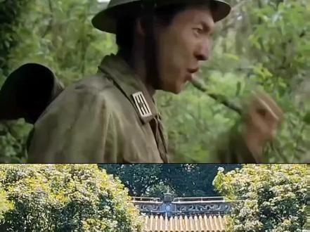 在中国远征军战斗过的地方,在他们的长眠之地,在“我的团长我的团”的拍摄地,一起来感受“知识青年从军歌”。