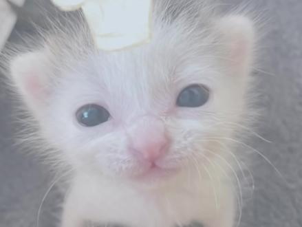 dy你啥意思我还得从发一遍#百合#gl #捡手机文学