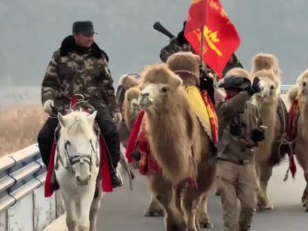 东天山骆驼🐫回河南了,一路夹道欢迎,今日通关至灵宝函谷关,走进函谷关,人生无难关!下一站#陕州地坑院 #东天山骆驼队 #丝绸之路