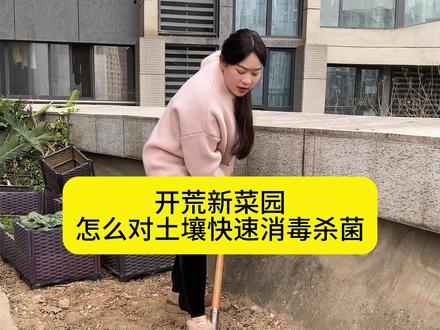 开荒新菜园怎么对土壤快速消毒杀菌 #种地 #开荒种地 #种菜 #种植小技巧 #三农
