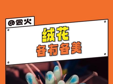 不管是烫平的#绒花 还是毛绒绒的 都很美啊 你们喜欢哪种 我都要!#非遗 #簪娘