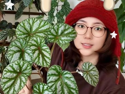 44㎡loft | 教新手!秋海棠邪修养护教程! -
朋友们!我们的《家居绿植邪修》系列!
第2期!来啦!
-
关于家居绿植养护的其他问题
大家可以在评论区留言
后期我会逐一整理,制作进后期的视频中!
-
#朗姆加冰的loft小家 #家居绿植 #绿植养护 #秋海棠 #绿植小技巧