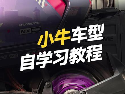 小牛车型自学习教程! #凌博 #凌博X系列 #凌博控制器 #凌博电机 #电摩