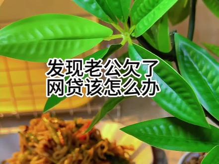 #真实生活分享计划 发现老公欠了网贷该怎么办?#婚姻 #成年人的崩溃 #美食vlog #vlog十亿流量扶持计划