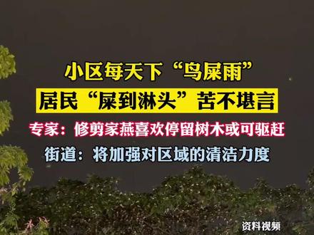 小区每天下鸟屎雨居民叫苦(DV现场)