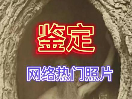 鉴定网络热门照片——白色死神“西蒙·海耶”#铭记历史 #历史故事 #民间故事 #真实案件 #历史 #奇闻异事 #民间传说