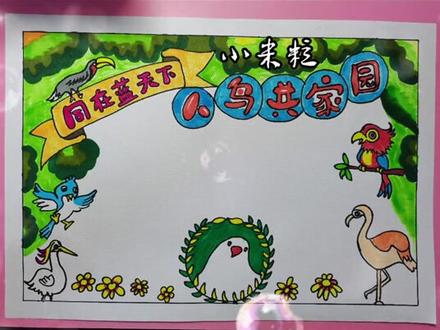#爱鸟护鸟#手抄报模板 #小学生手抄报