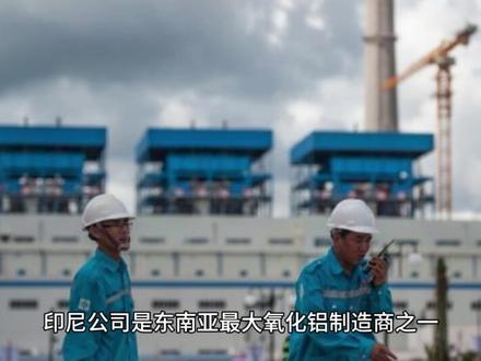 南山铝业年报分析#股票知识 #年报